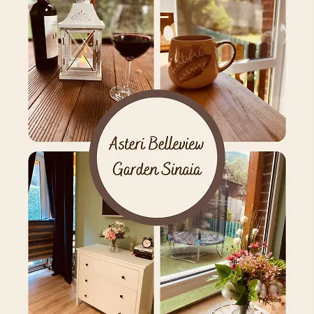 Apartment Asteri Garden & Terrace Sinaia